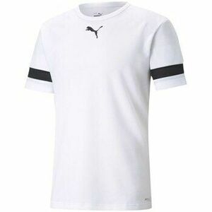 Rövid ujjú pólók Puma Teamrise Jersey kép