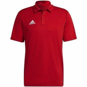 Rövid ujjú pólók adidas Entrada 22 kép