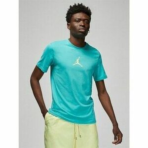 Rövid ujjú pólók Nike Air Jordan Jumpman Dri-fit kép