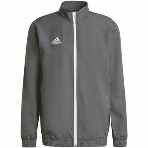 Pulóverek adidas Entrada 22 Presentation kép