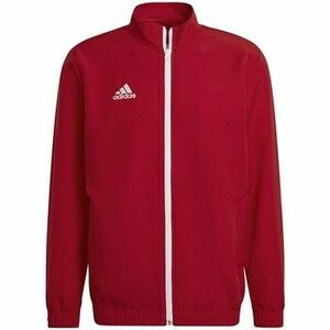 Pulóverek adidas Entrada 22 Presentation kép