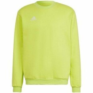 Pulóverek adidas Entrada 22 kép
