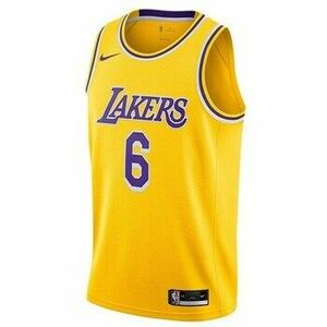 Rövid ujjú pólók Nike Nba Los Angeles Lakers Lebron James Swingman kép