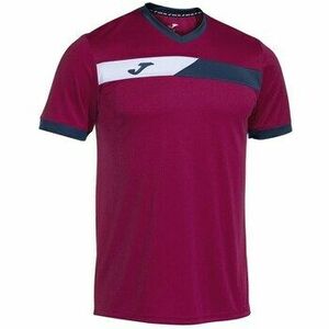 Rövid ujjú pólók Joma 103212593 kép