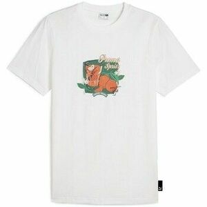 Rövid ujjú pólók Puma Graphics Spritz Tee kép