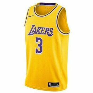 Rövid ujjú pólók Nike Nba Los Angeles Lakers Anthony Davis Swingman kép