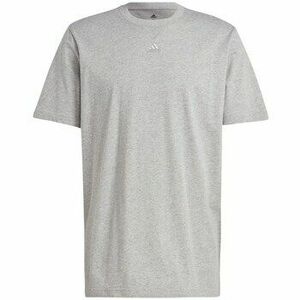 Rövid ujjú pólók adidas M All Szn T kép