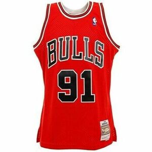 Rövid ujjú pólók Mitchell And Ness Nba Swingman Jerseys Chicago Bulls Dennis Rodman 91 kép
