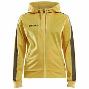 Pulóverek Craft Fullzip Pro Control kép