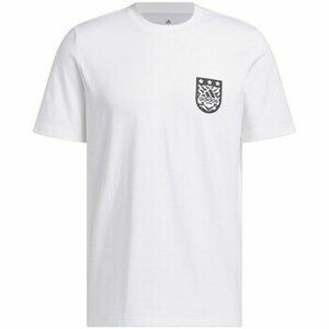 Rövid ujjú pólók adidas M Xpress G T kép