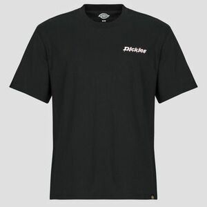 Rövid ujjú pólók Dickies STATESVILLE TEE SS BLACK kép