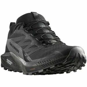 Futócipők Salomon Sense Ride 5 Gtx kép