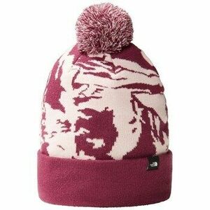 Sapkák The North Face Ski Tuke Kulich Us Os kép