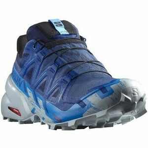 Futócipők Salomon Speedcross 6 Gtx kép