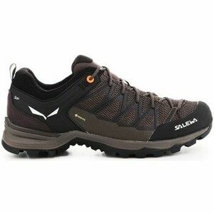 Túracipők Salewa Mtn Trainer Lite Gtx kép