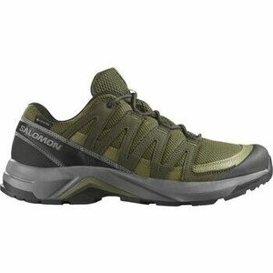 Túracipők Salomon X-adventure Reckon Gtx kép