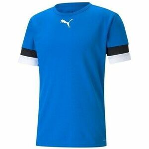 Rövid ujjú pólók Puma Teamrise Jersey kép