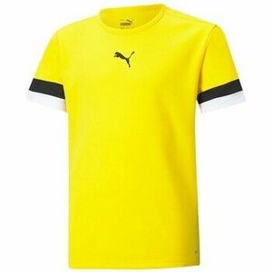 Rövid ujjú pólók Puma Teamrise Jersey kép