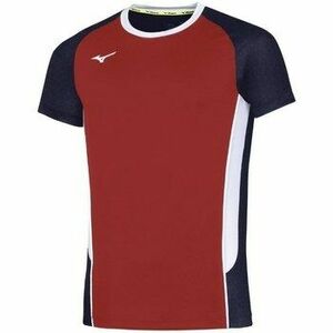 Rövid ujjú pólók Mizuno Premium High Kyu kép