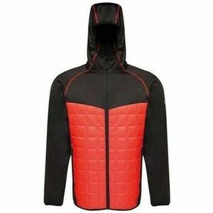 Kabátok Regatta Modular Thermal kép