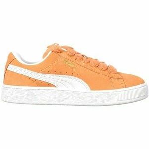 Alsóváros Puma 39520520 kép