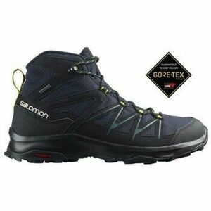 Túracipők Salomon Daintree Mid Gtx kép
