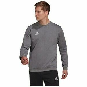 Pulóverek adidas Entrada 22 kép