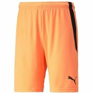 7/8-os és 3/4-es nadrágok Puma Teamliga kép