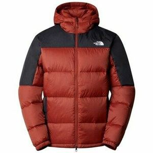 Steppelt kabátok The North Face Diablo kép