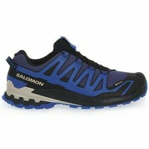 Futócipők Salomon Xa Pto 3d V9 Gtx kép