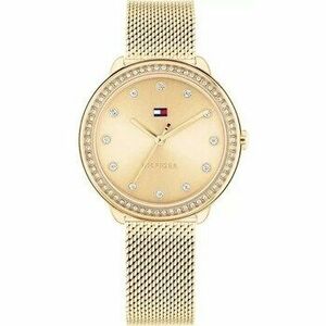 Analóg karórák Tommy Hilfiger ty556240 kép