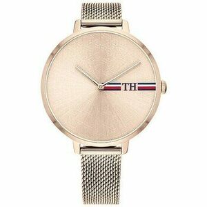 Analóg karórák Tommy Hilfiger ty191350 kép