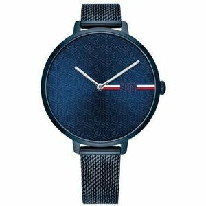 Analóg karórák Tommy Hilfiger ty191360 kép