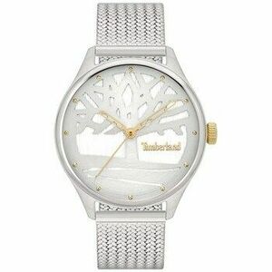 Analóg karórák Timberland TBLTDWLG2200303 kép