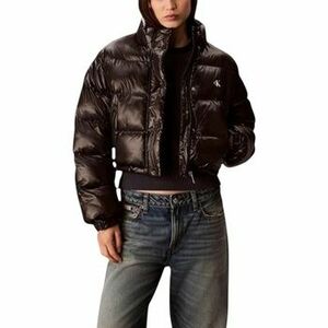 Steppelt kabátok Calvin Klein Jeans SHINE CROP PUFFER JA LV047D504G kép