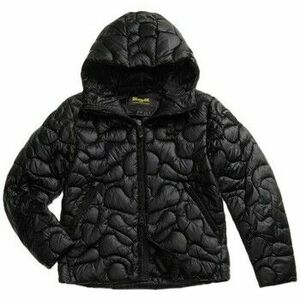 Steppelt kabátok Blauer 25WBLUC02077 kép