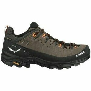Túracipők Salewa Alp Trainer 2 Gtx kép