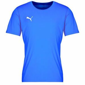 Rövid ujjú pólók Puma TEAMRISE MATCHDAY kép