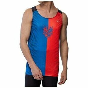 Rövid ujjú pólók Mizuno J2GAC00399 kép