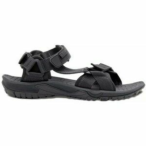 Szandálok / Saruk Jack Wolfskin Lakewood Ride kép