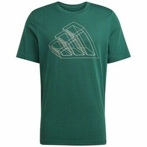 Rövid ujjú pólók adidas JJ1609 kép