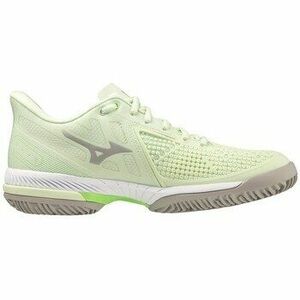 Tenisz Mizuno Wave Exceed Tour 5 kép