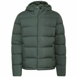 Steppelt kabátok adidas Helionic HO kép