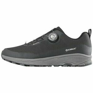 Rövid szárú edzőcipők Icebug Rb9x Gtx kép