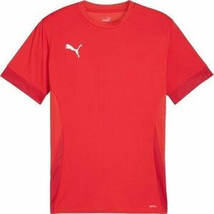 Rövid ujjú pólók Puma Teamgoal Matchday Jersey kép
