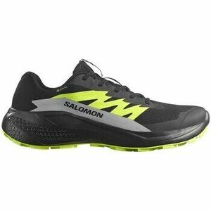 Futócipők Salomon Alphaglide Gtx kép
