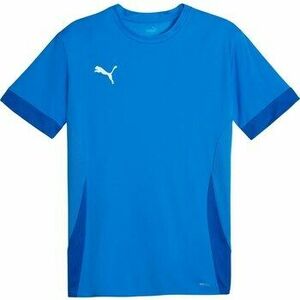 Rövid ujjú pólók Puma Teamgoal Matchday Jersey kép