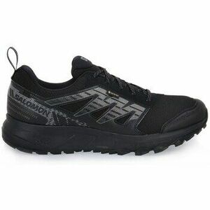 Futócipők Salomon Wander Gtx W kép