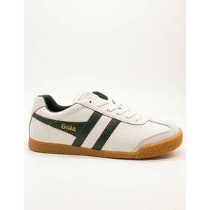 Rövid szárú edzőcipők Gola CMB426WN Harrier kép