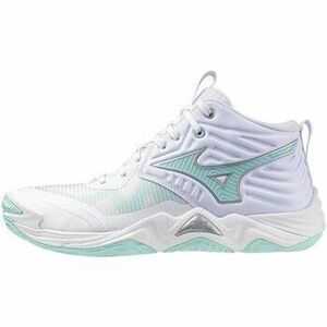 Multisport Mizuno Shoe Wave Momentum Elite Mid W kép
